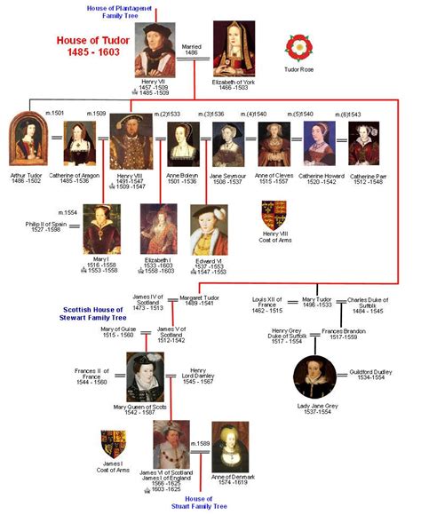 albero genealogico ellisabettai tudor|house of tudor family tree.